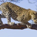 Afrika erleben Afrika erleben